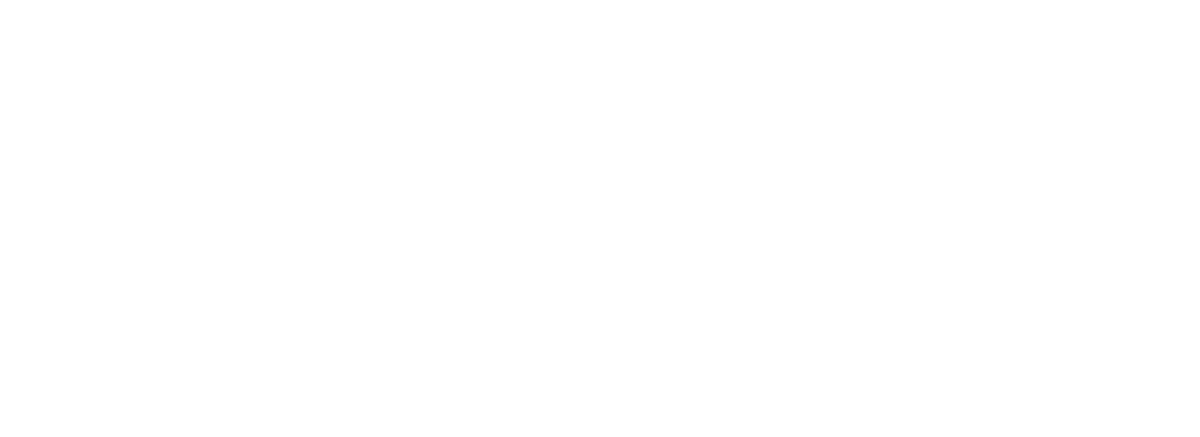 DSC