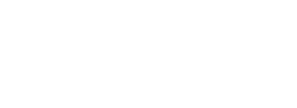 SECUTRON