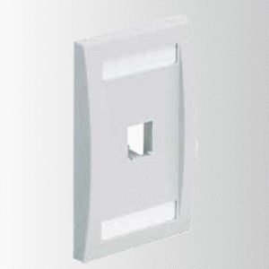 PANDUIT FACE PLATE 1